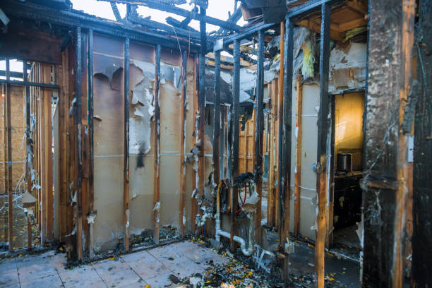 Professional Smoke Damage Removal technician working in Sargent, TX